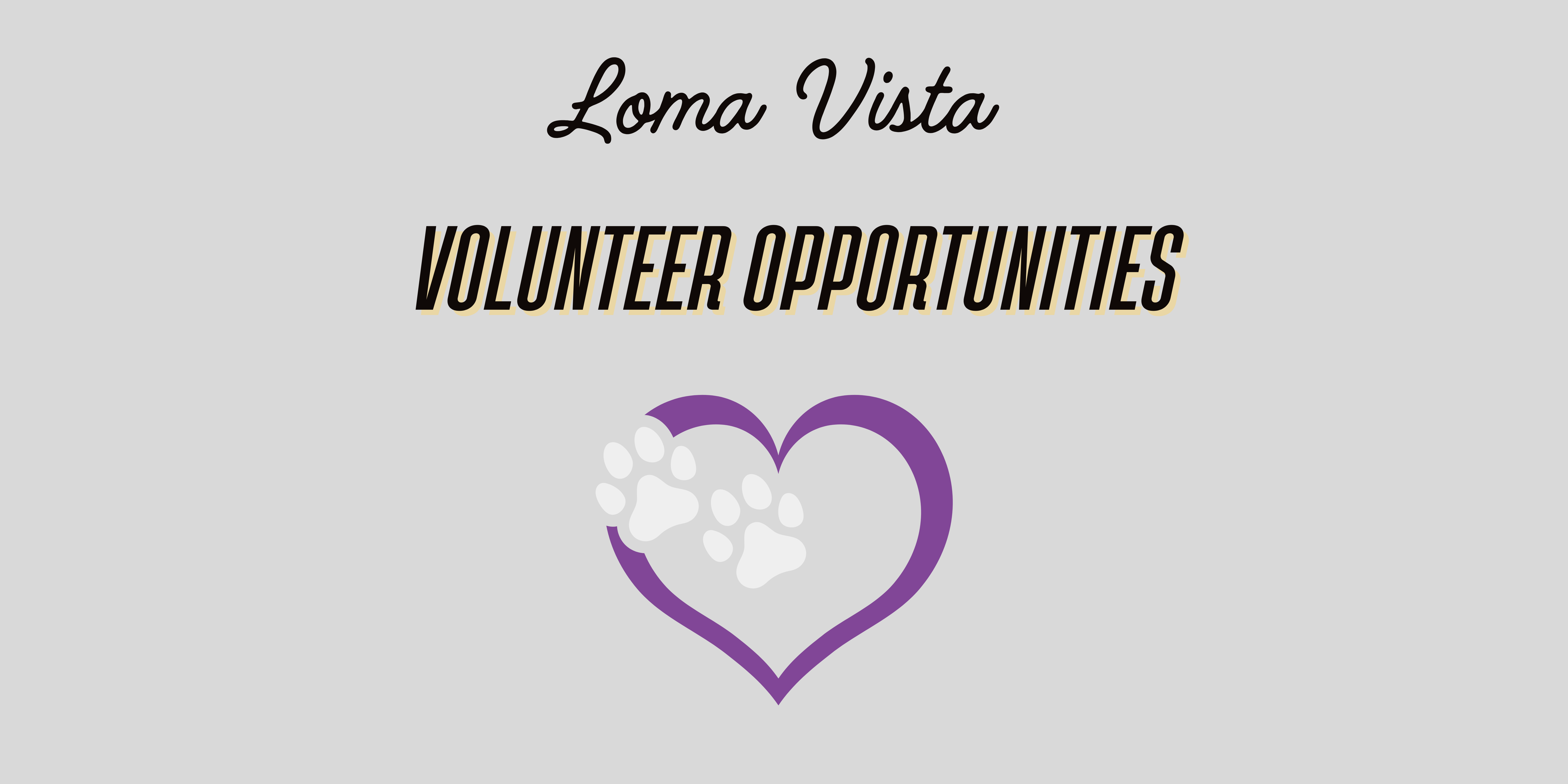 Volunteer Opportunities