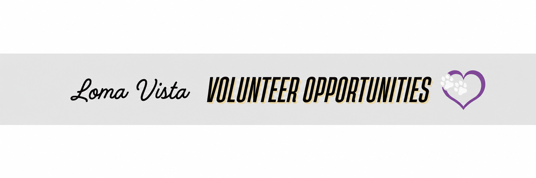 Volunteer Opportunities