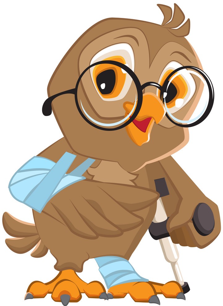 Owl with Hurt Leg