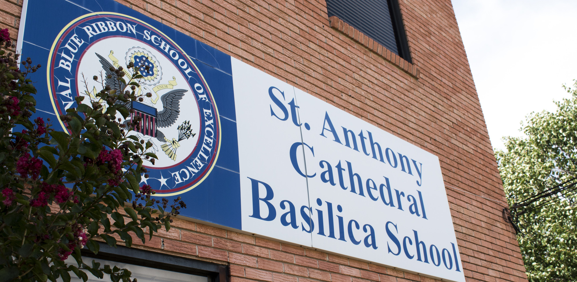 St-Anthony logo