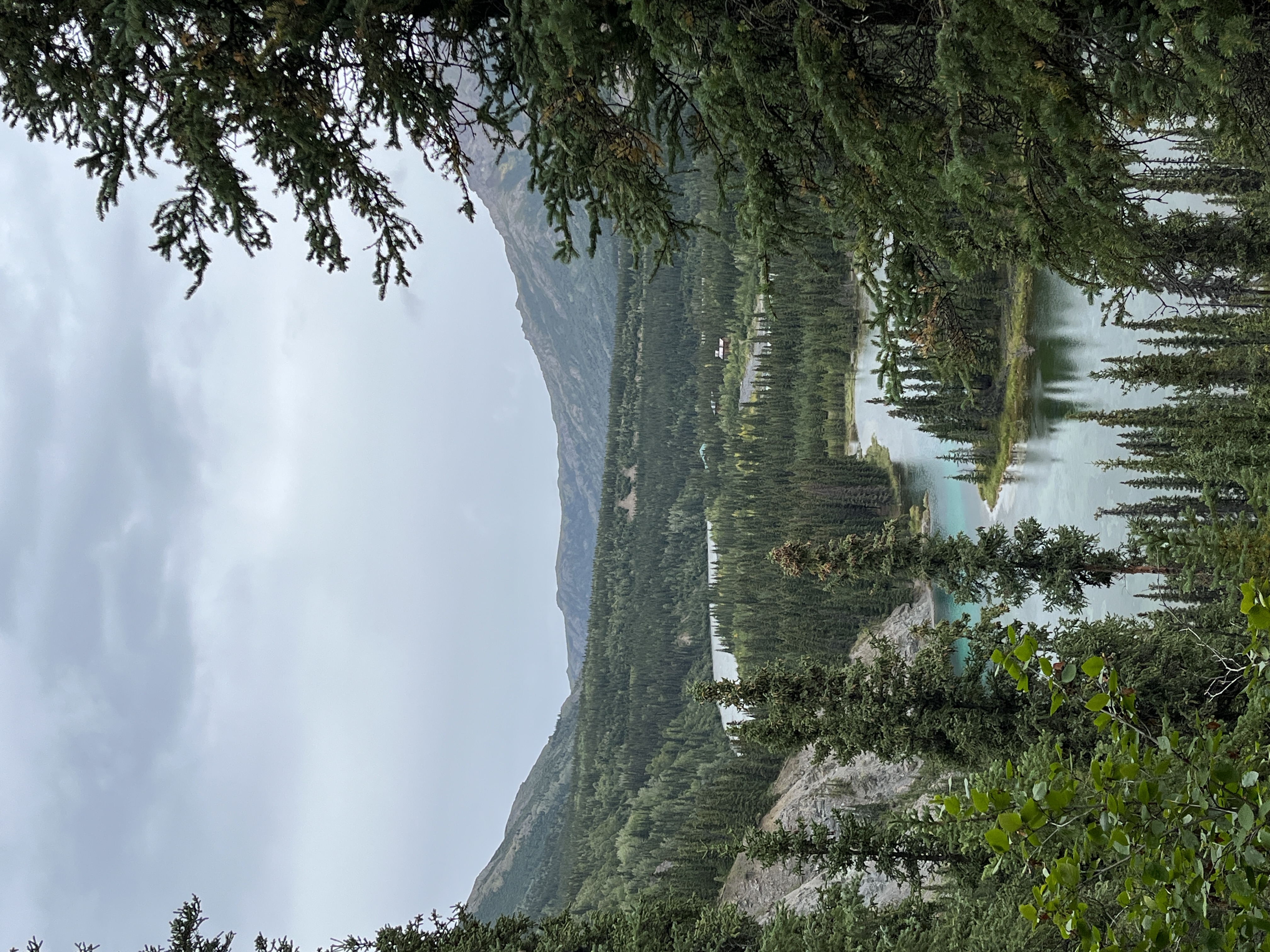 Denali National Park