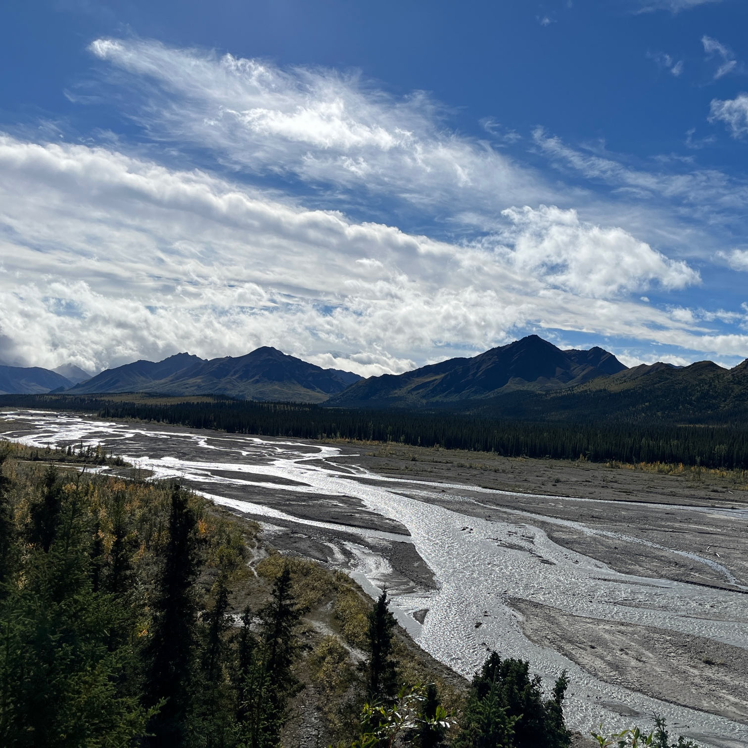 Denali Park River