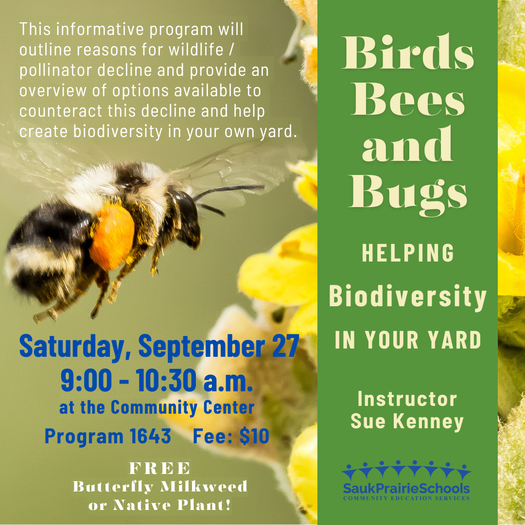 Learn How To Create Biodiversity in Your Back Yard