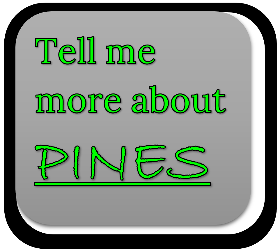 Learn more about PINES