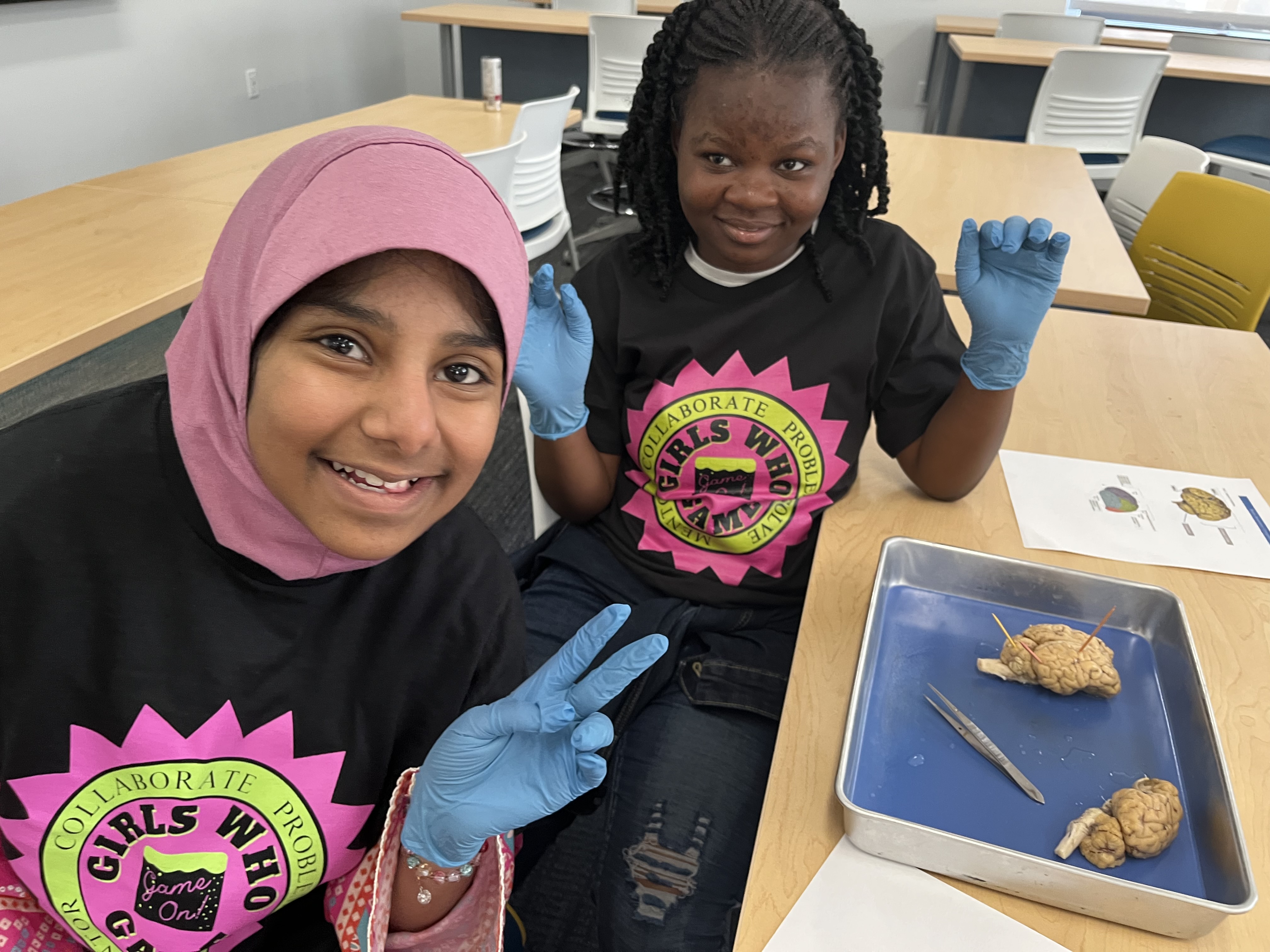 Girls disecting  a sheep brain
