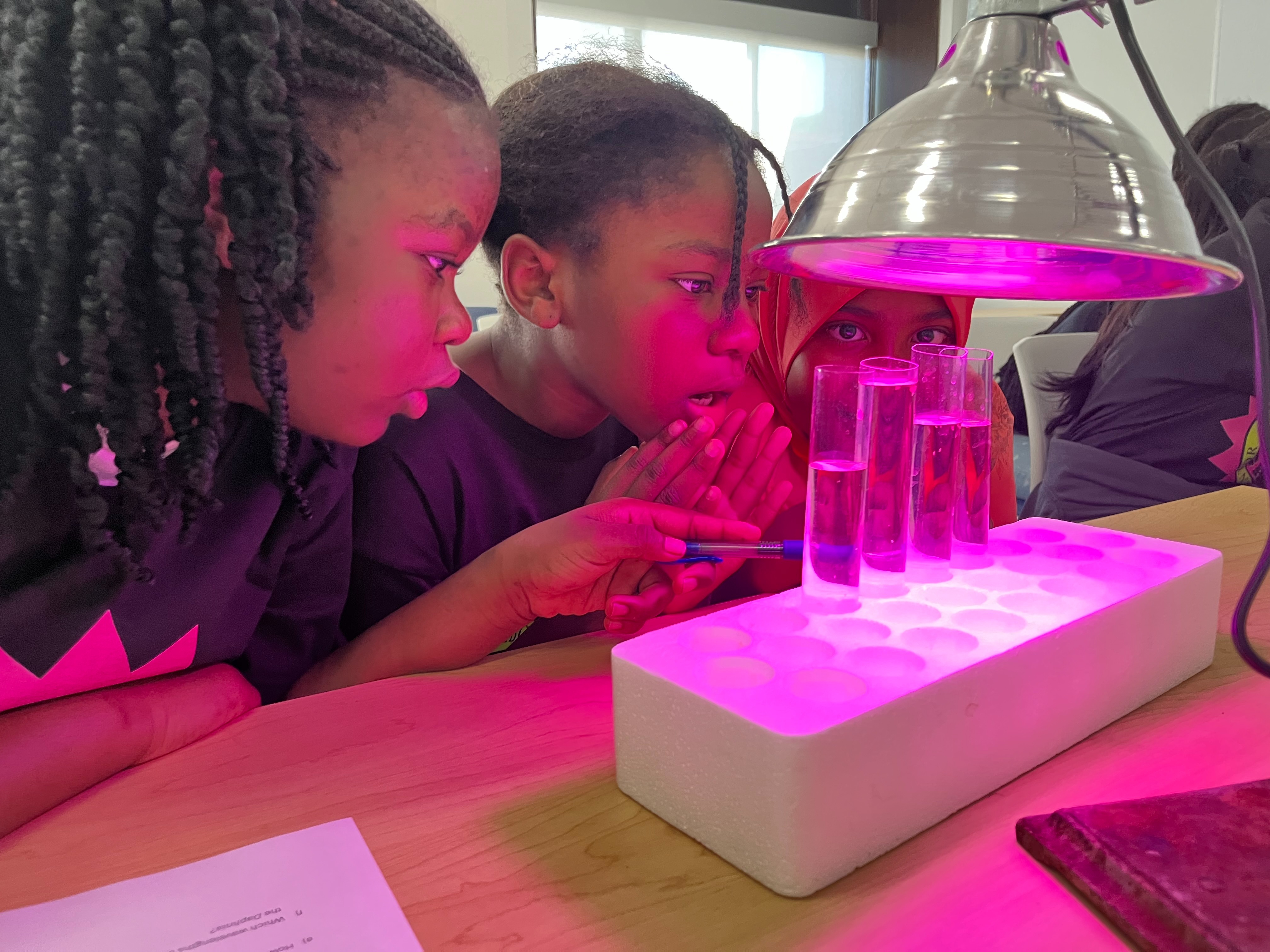 Students conducting a science experiment