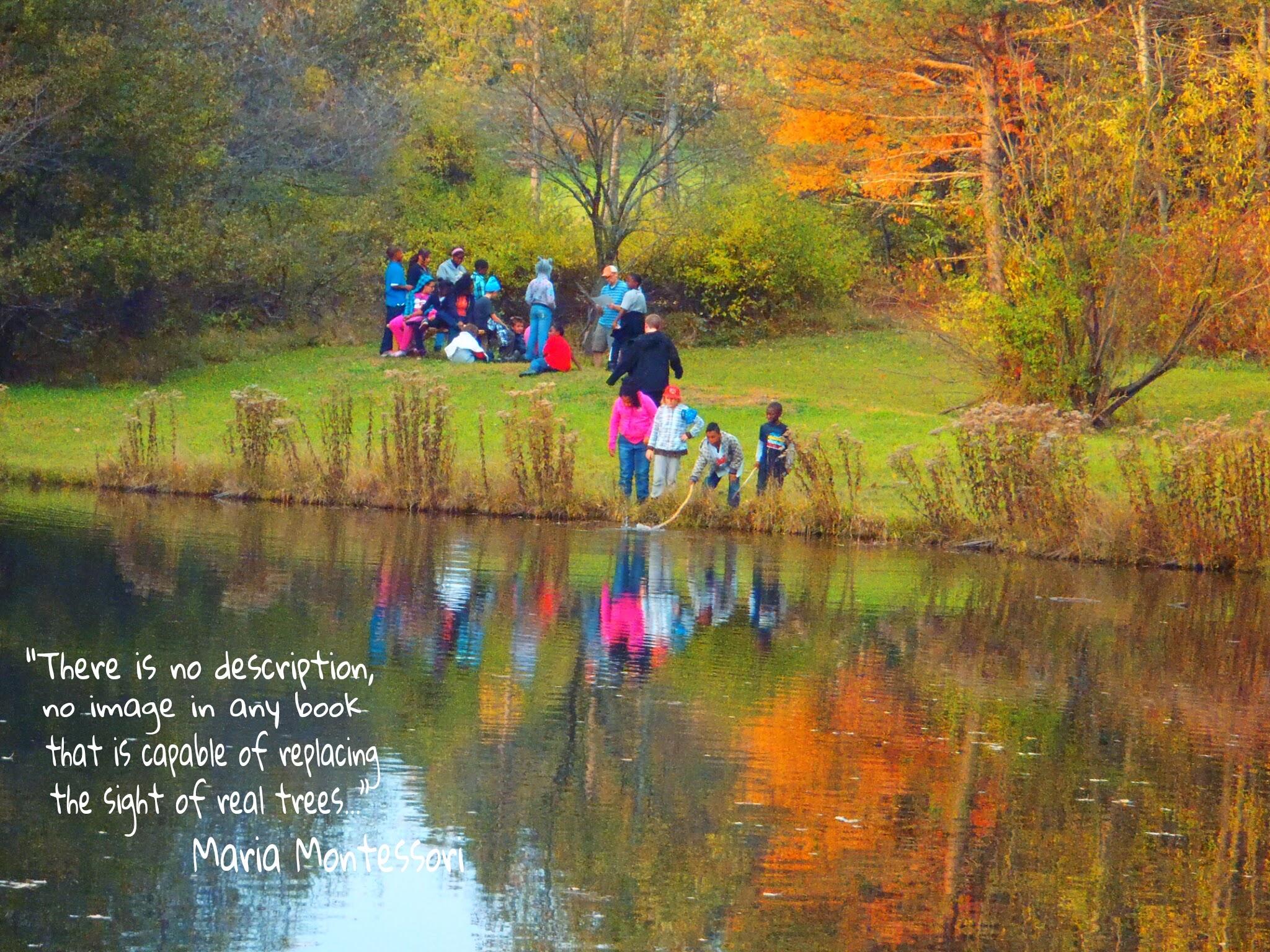 Students by a Pond