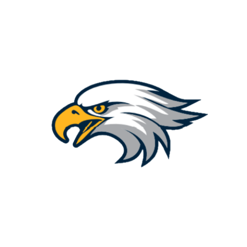 Eagle 89 Logo