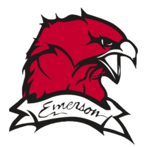 Classic  hawk logo