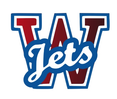 MS logo