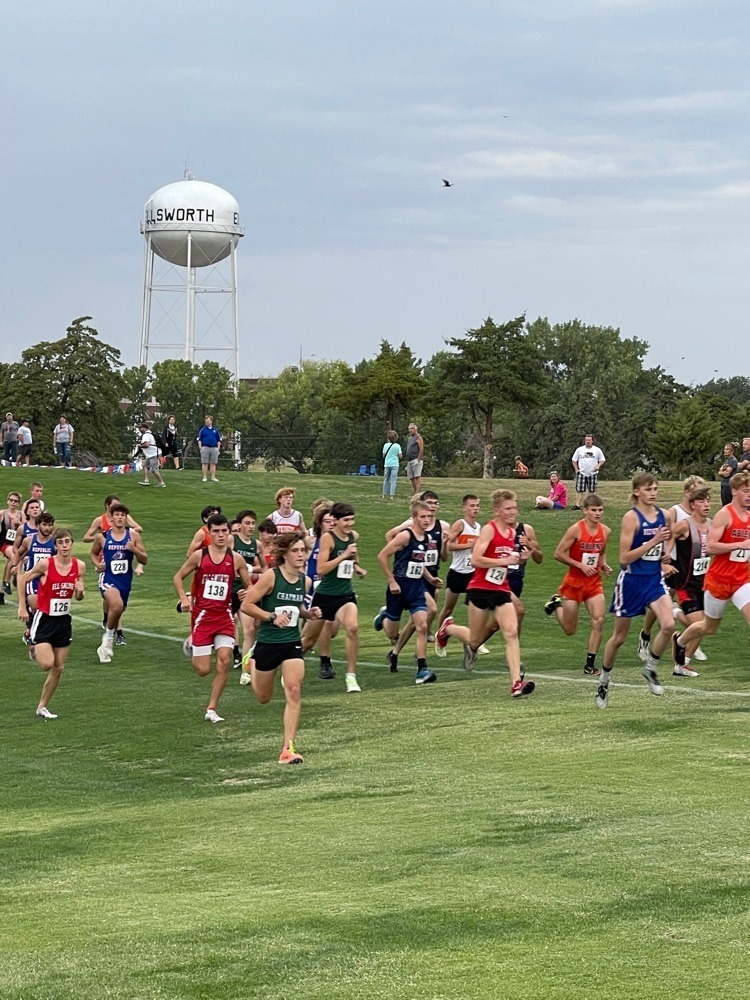 Cross Country Runners