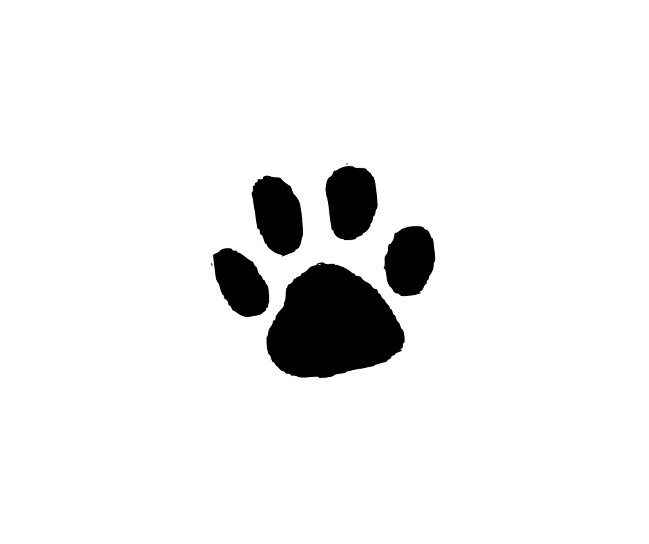 bearcub