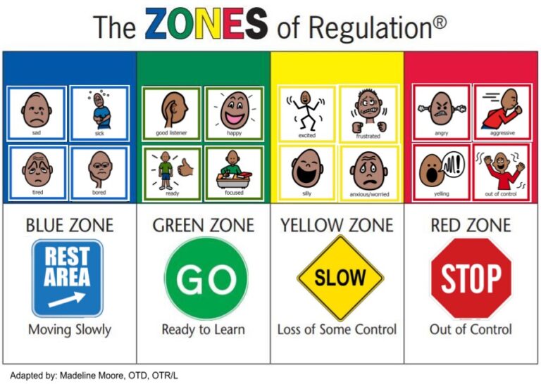 The Zones of Regulation