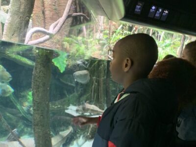 student at the aquarium