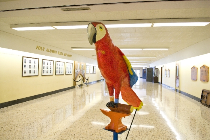 Parrot mascot at a school hall