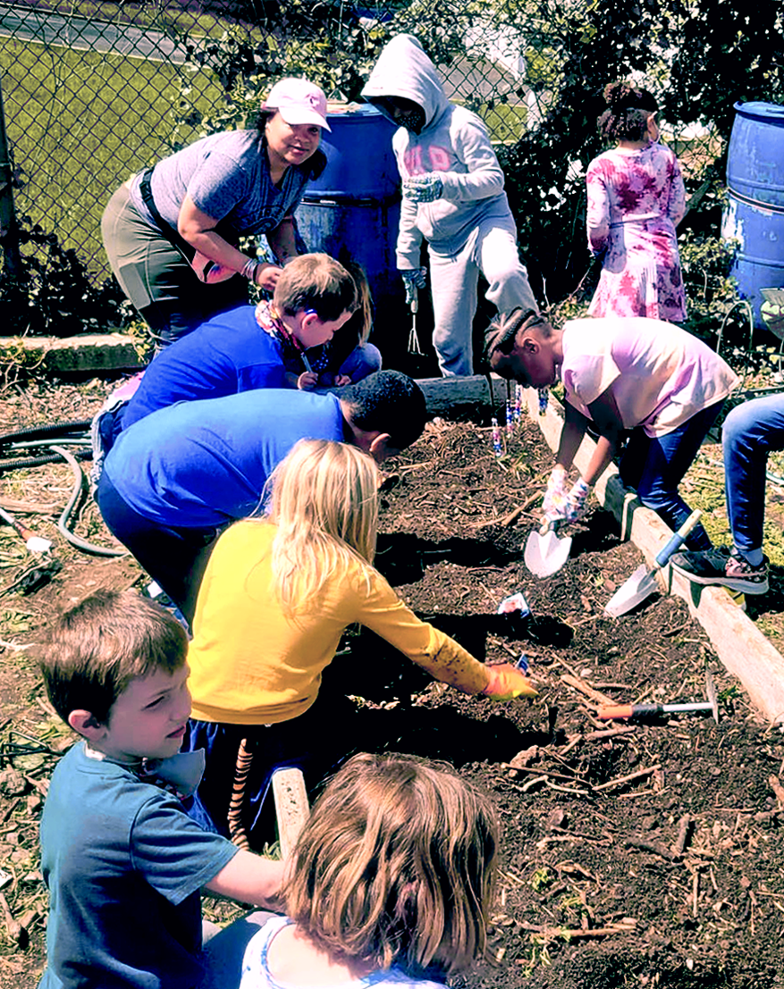 Students planting
