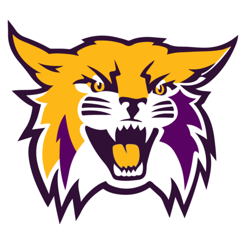 Logo Wild Cat