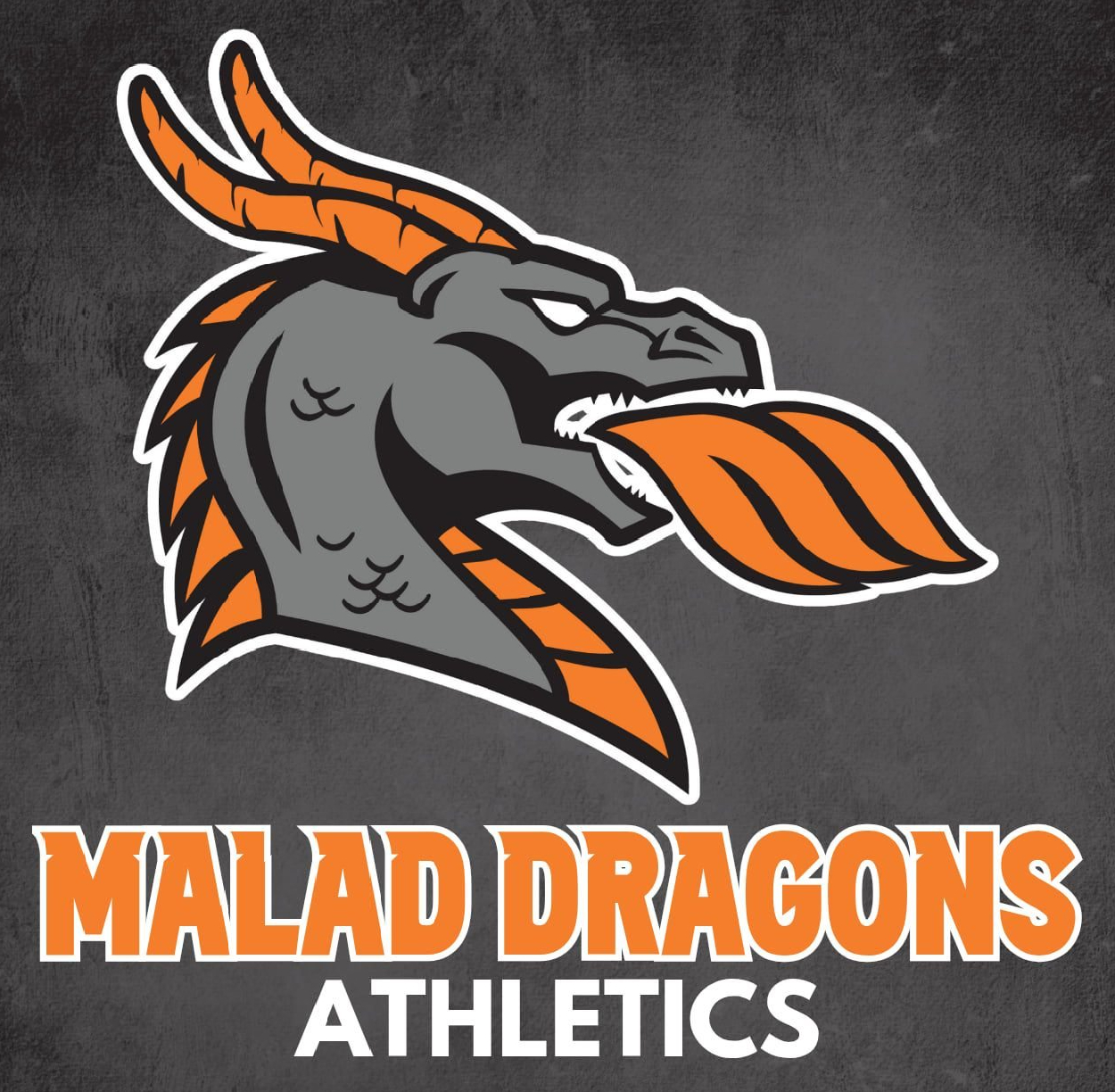 MHS Athletics Image
