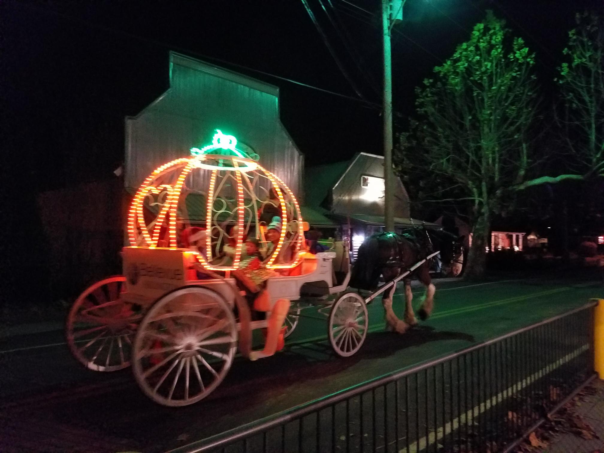 Picture of lighted carriage being pulled by a horse down a road in downtown Arlington