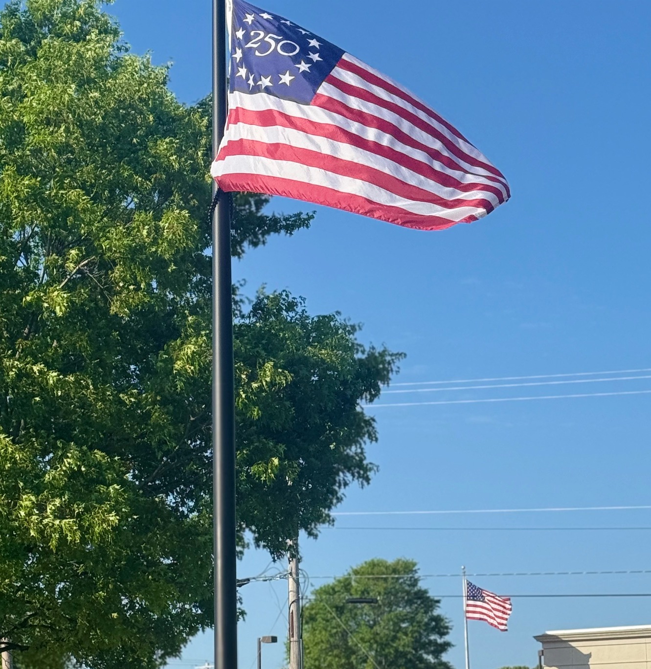 250 USA flag on pole beside a green tree. In background is blue sky and US flag on a pole.