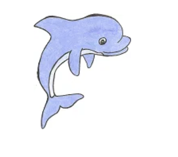 drawing of a dolphin
