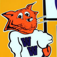 wildcat animation mascot logo leaning on book