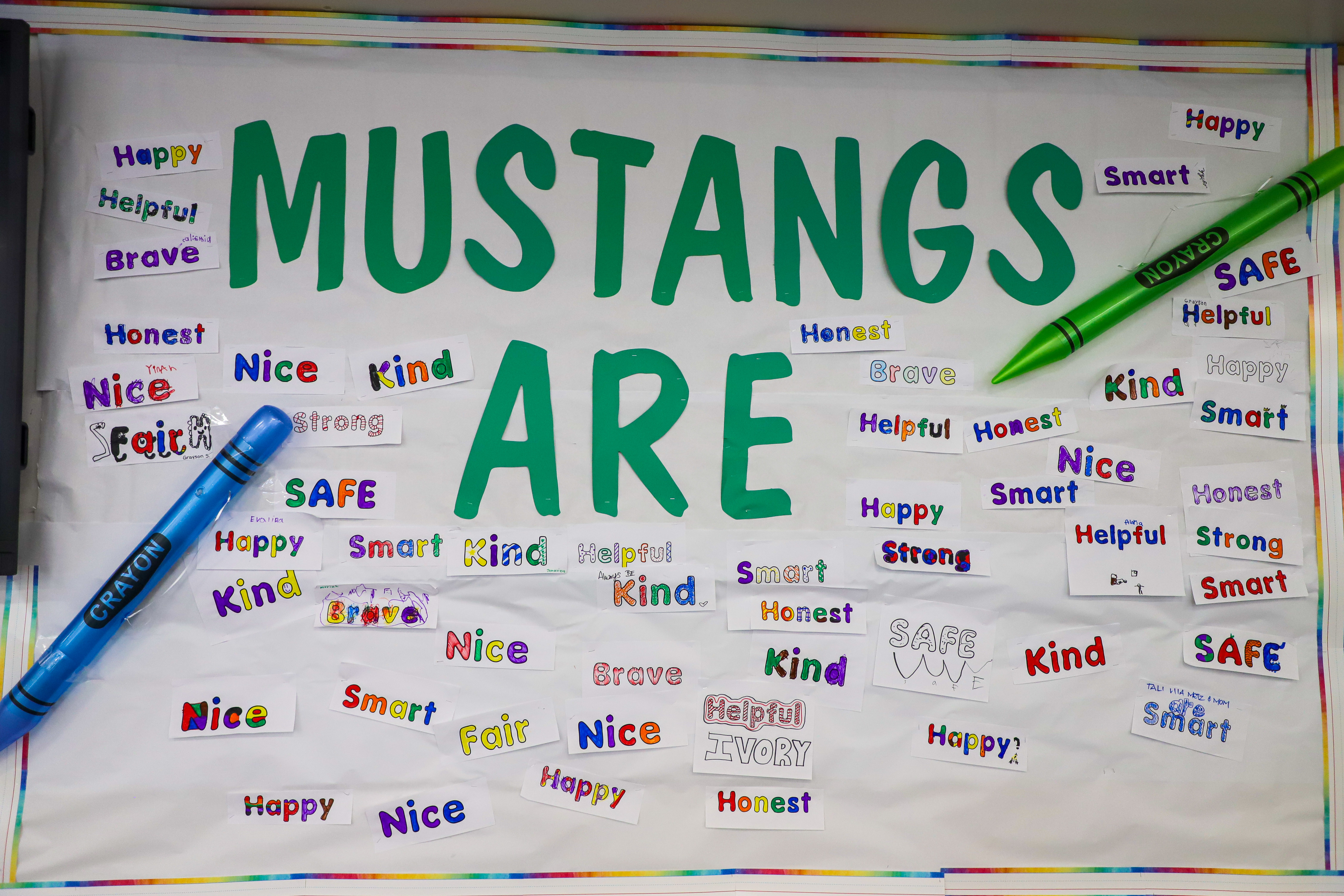 Mustangs are...