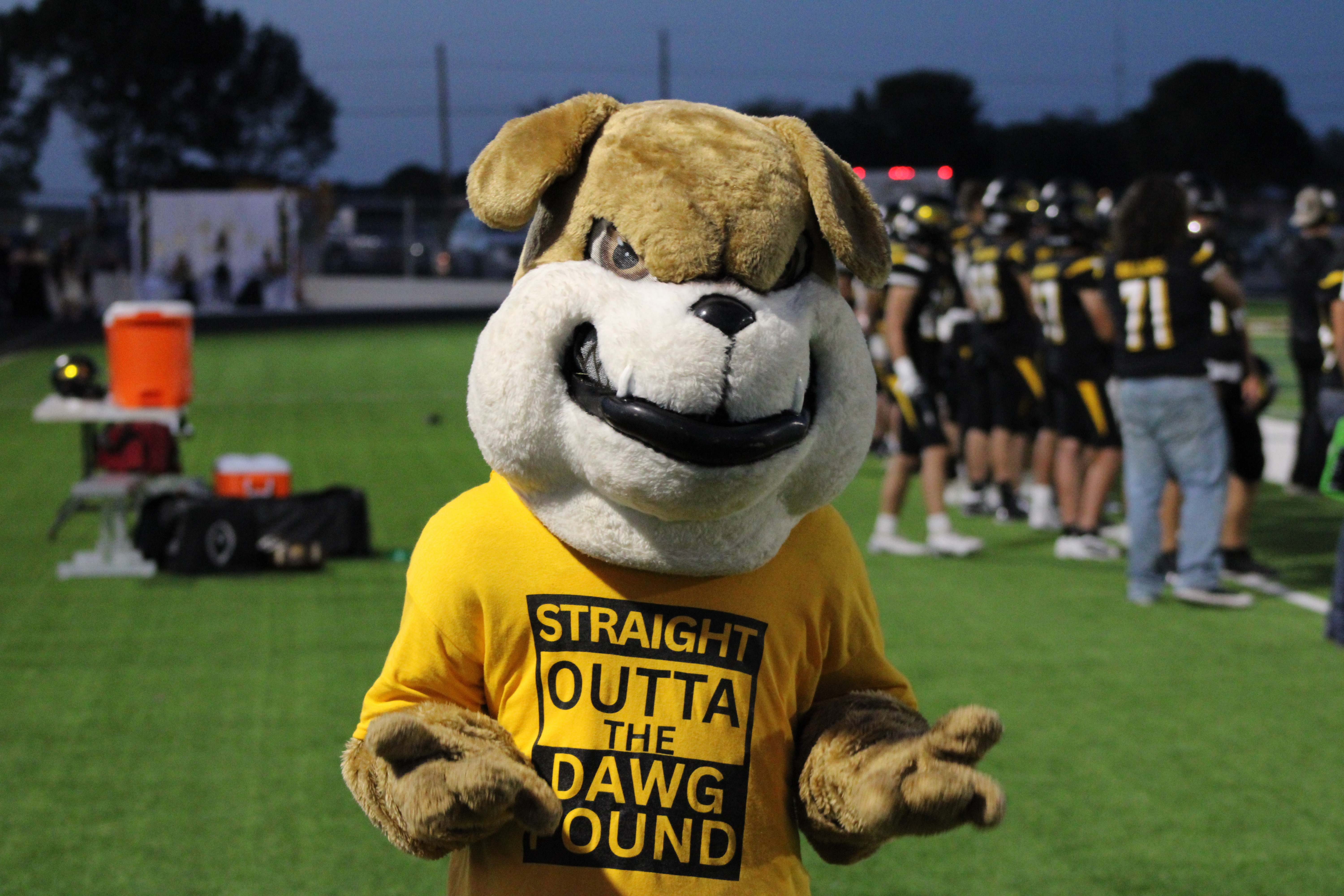 Bulldog Mascot