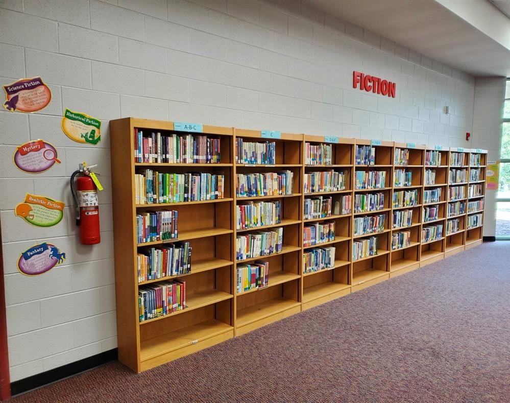 Fiction Books