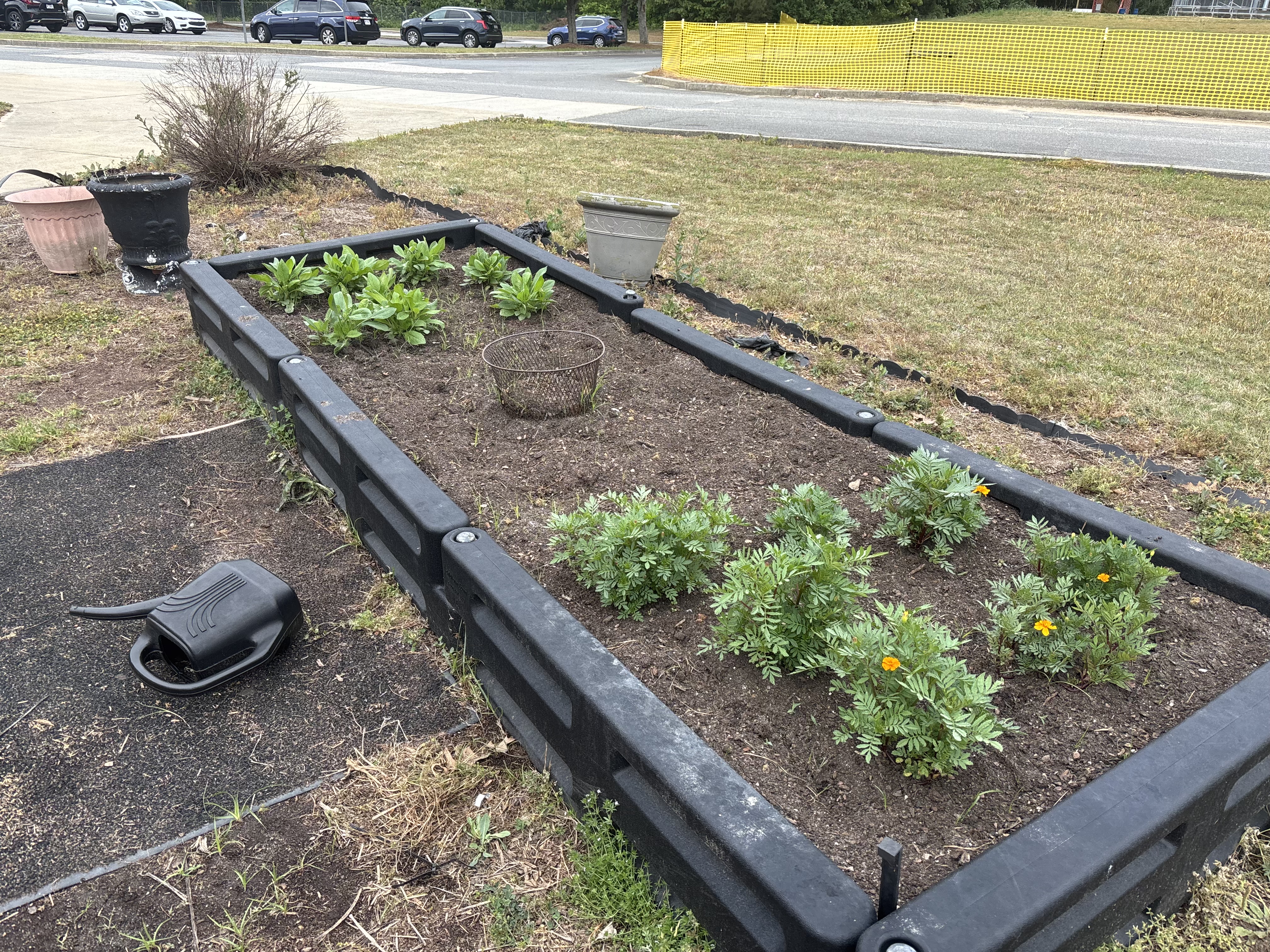 TLC Garden