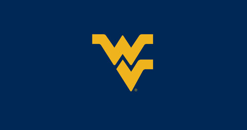 w logo