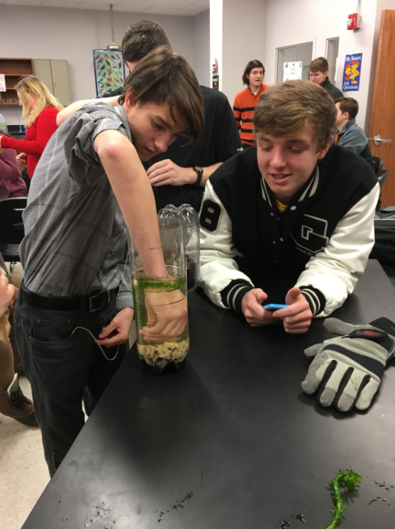 students with plant