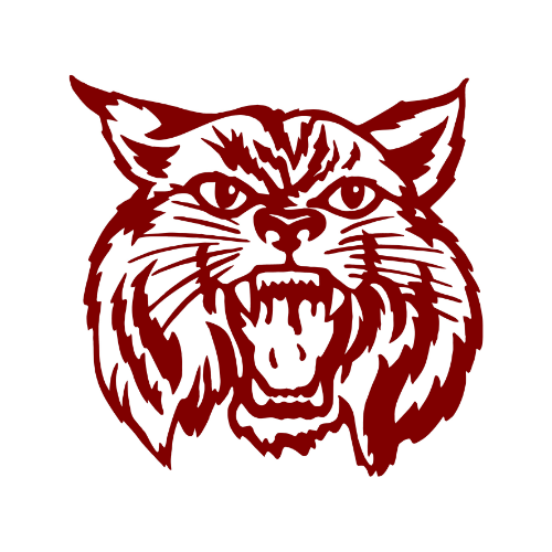 Harlem wildcat logo