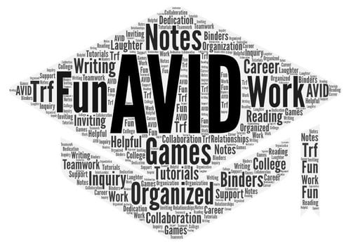 AVID descriptive word cluster