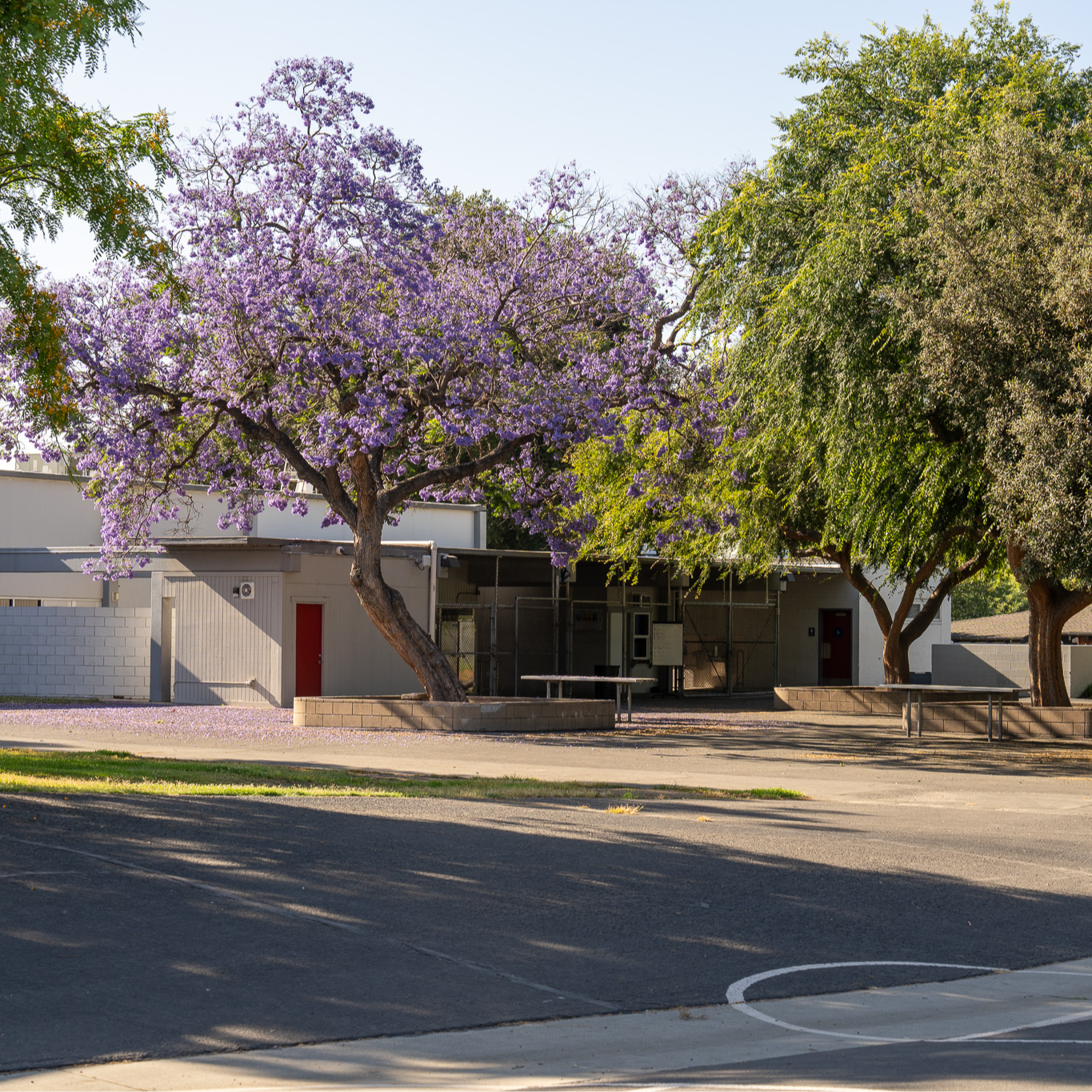 El Roble Campus play area