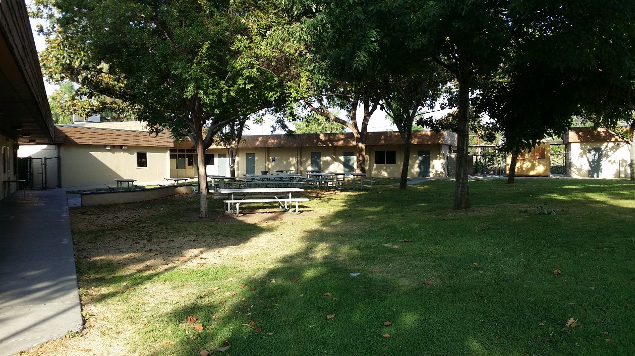 About Us San Antonio High School