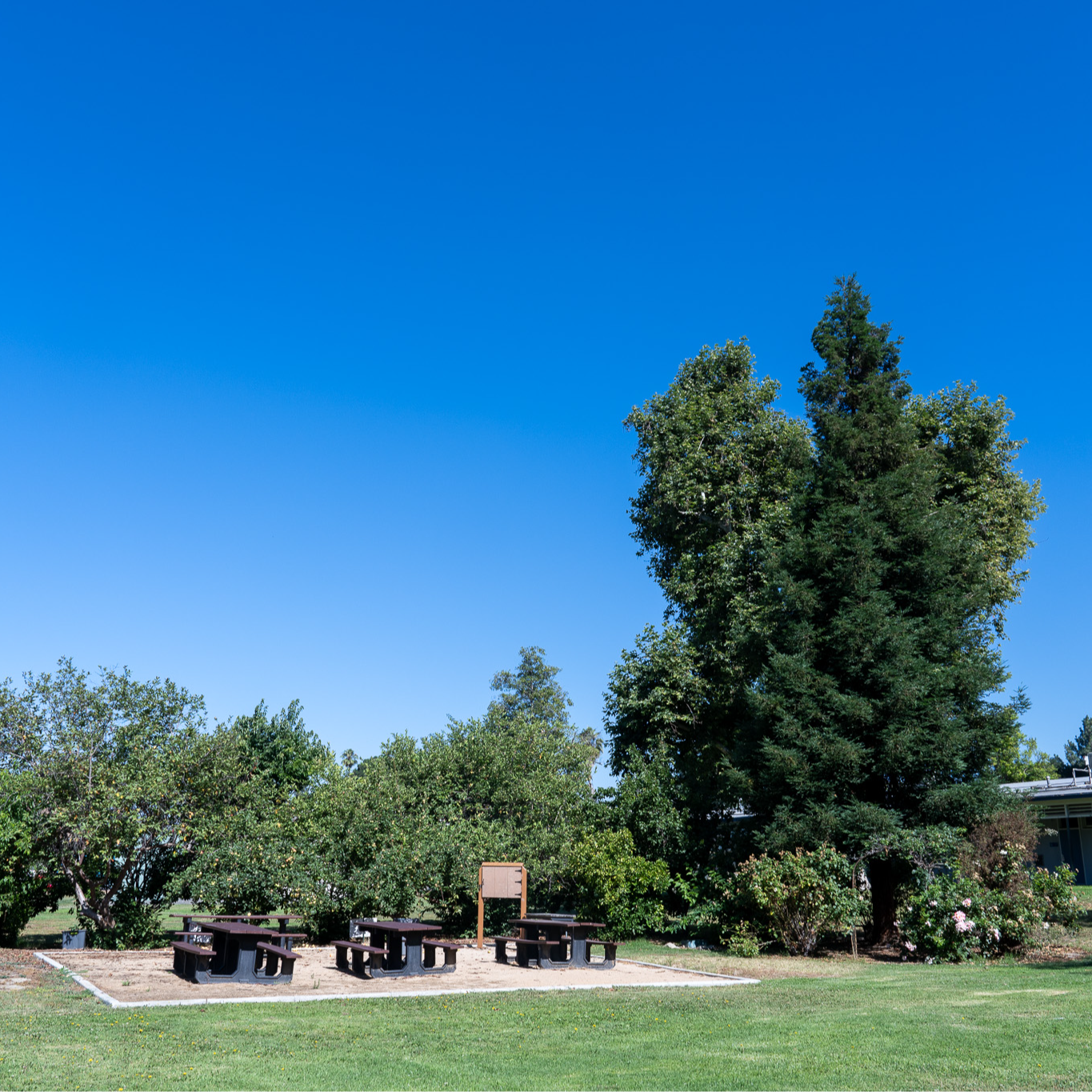 Oakmont Outdoor School outside sitting areas