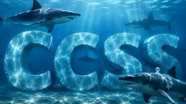 Sharks swimming in water around the letters CCSS