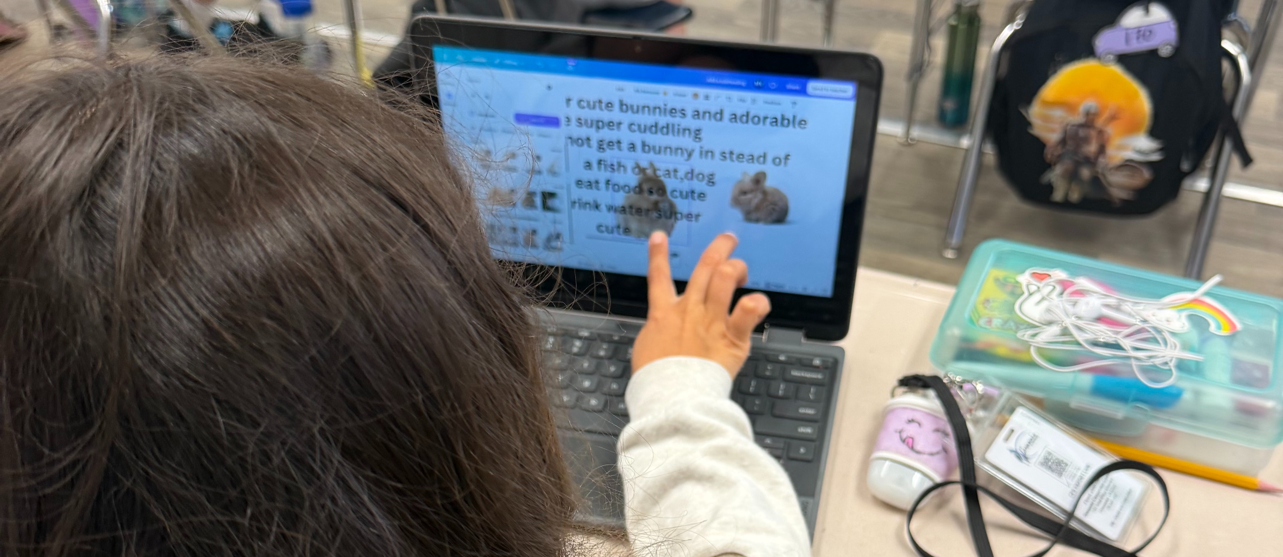 Student pointing at an image on a Chromebook