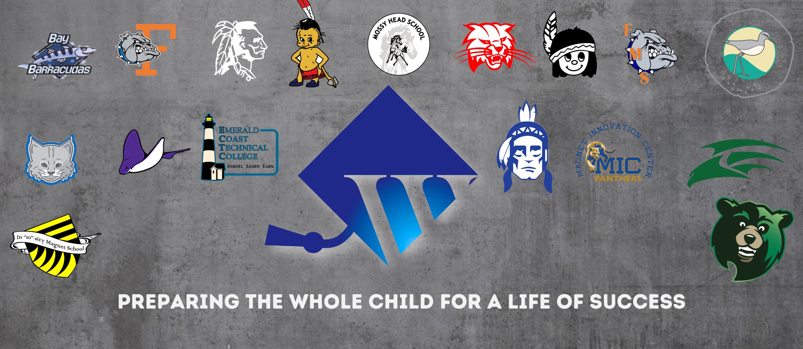 a collage of all the WCSD school logos with the text "Preparing the whole child for a life of success"