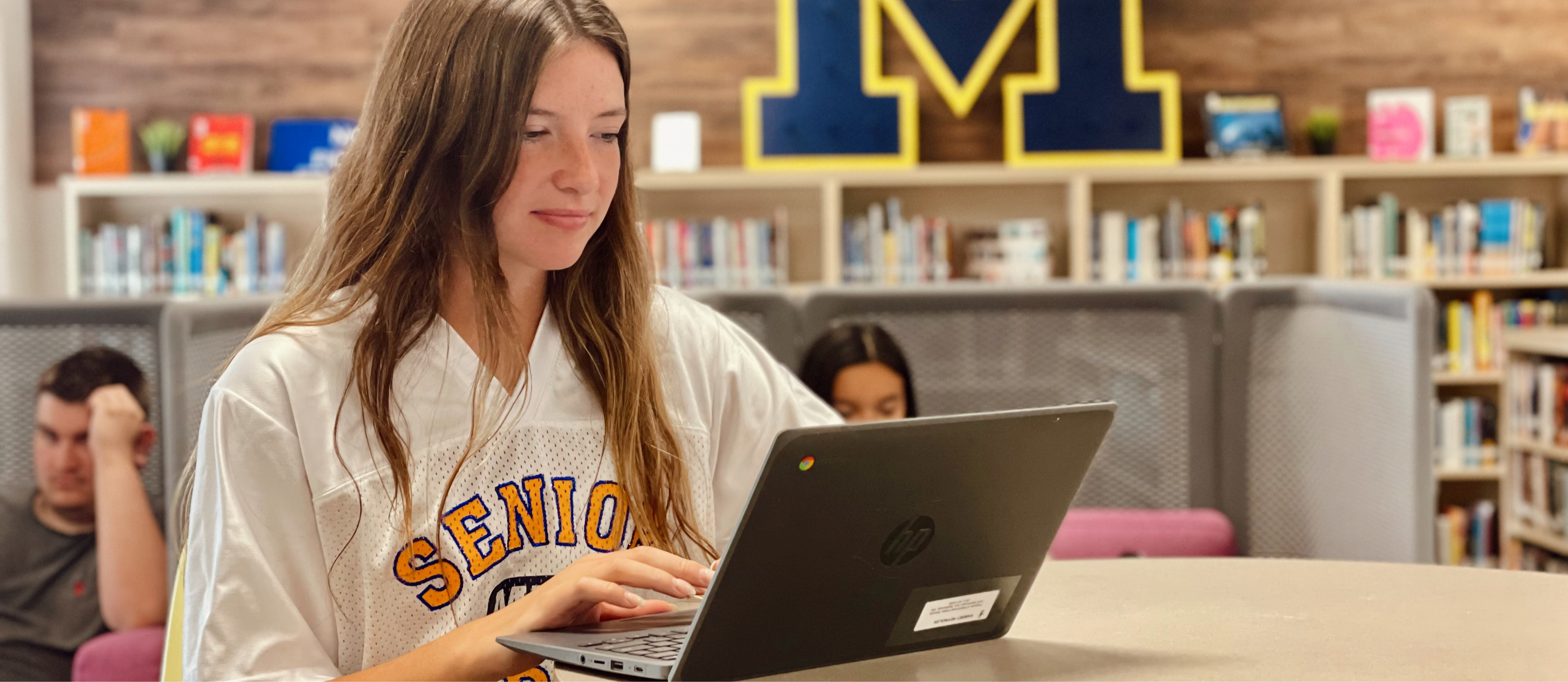 Student working on laptop