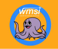 wmsi