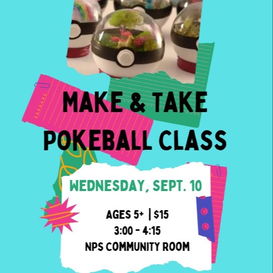 Pokemon Ball