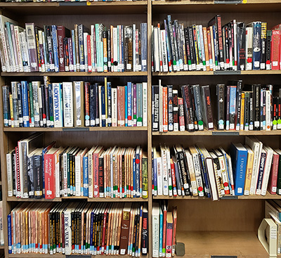 photo of a bookshelf