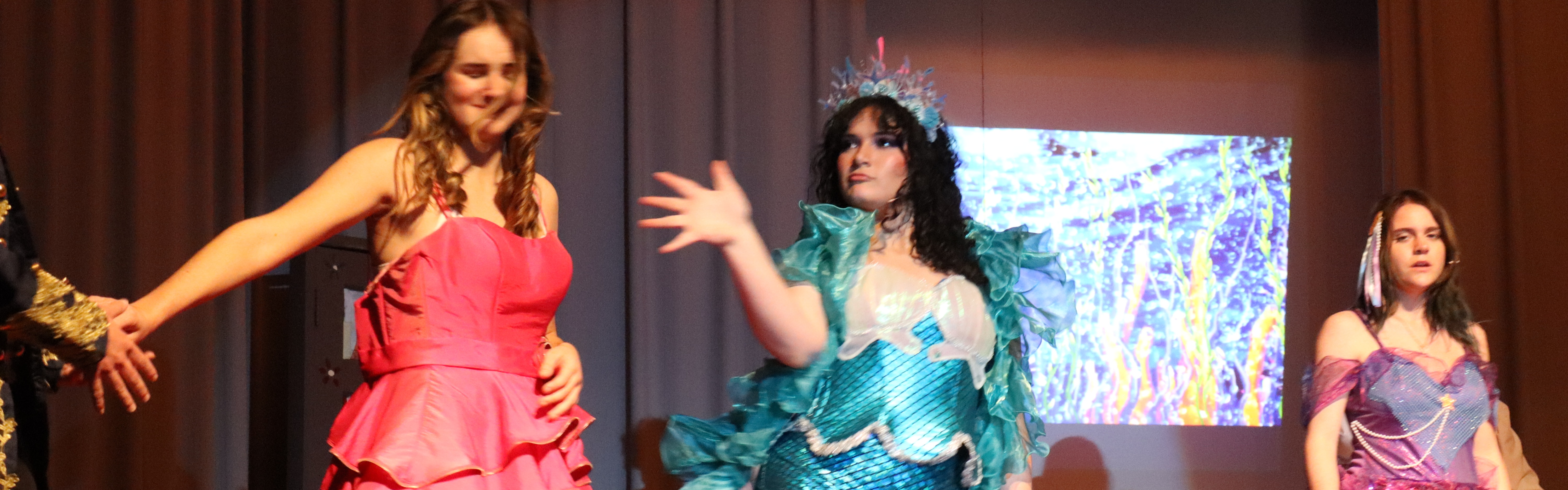 Spring Musical  Friday Night.