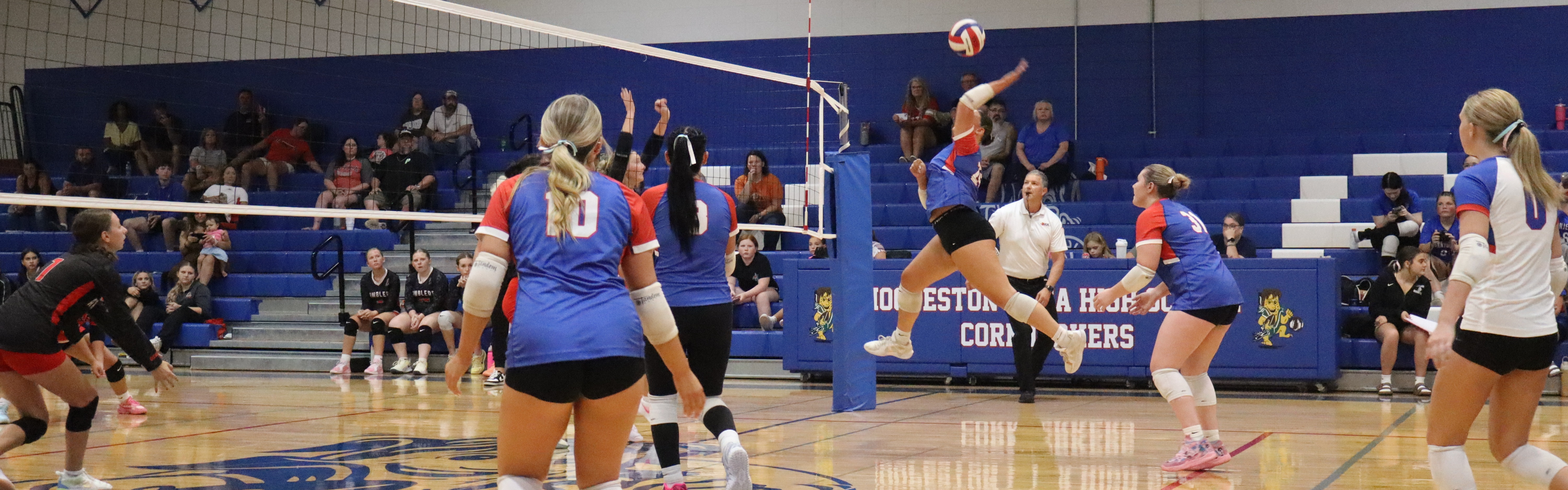 Spike!  Attacking vs. Attica.