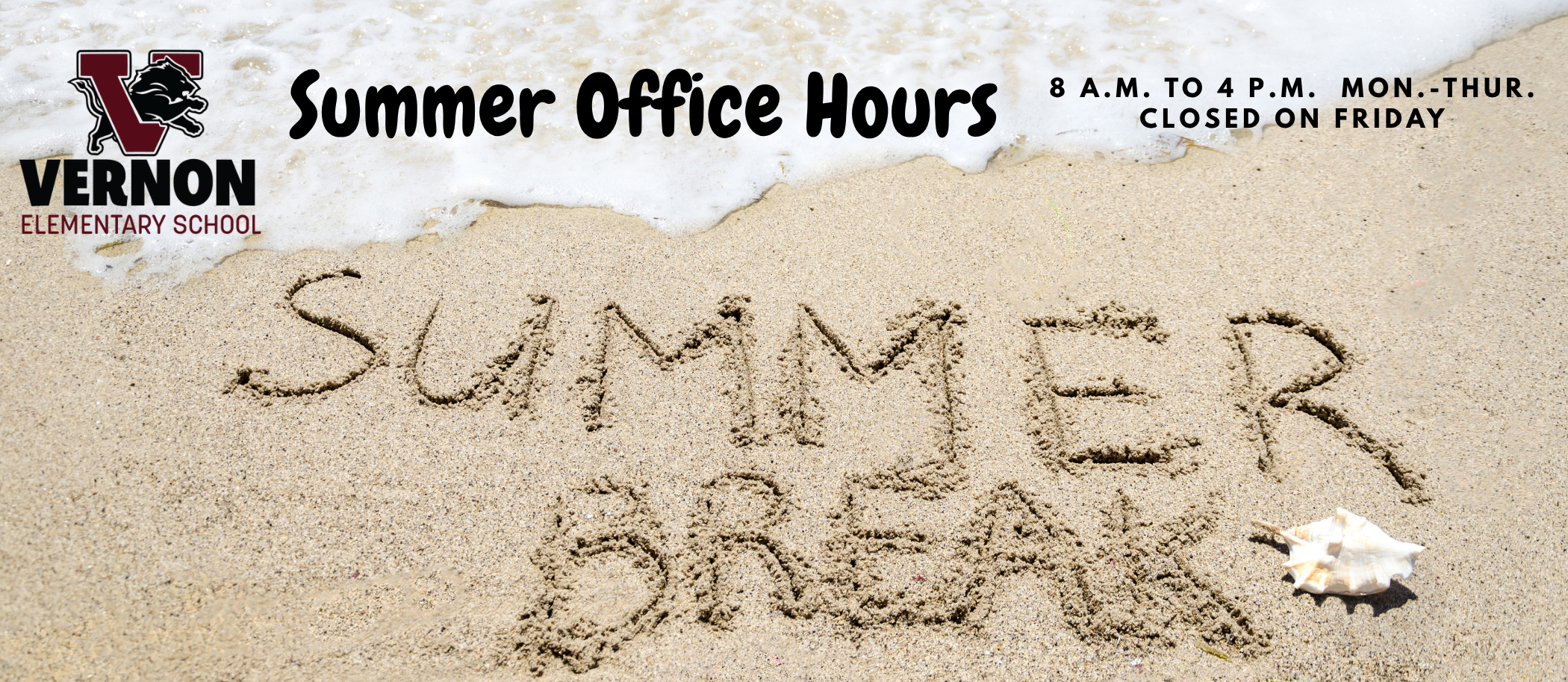 ves website summer