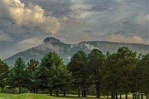 a mountain rising above a span of trees with a cloudy sky