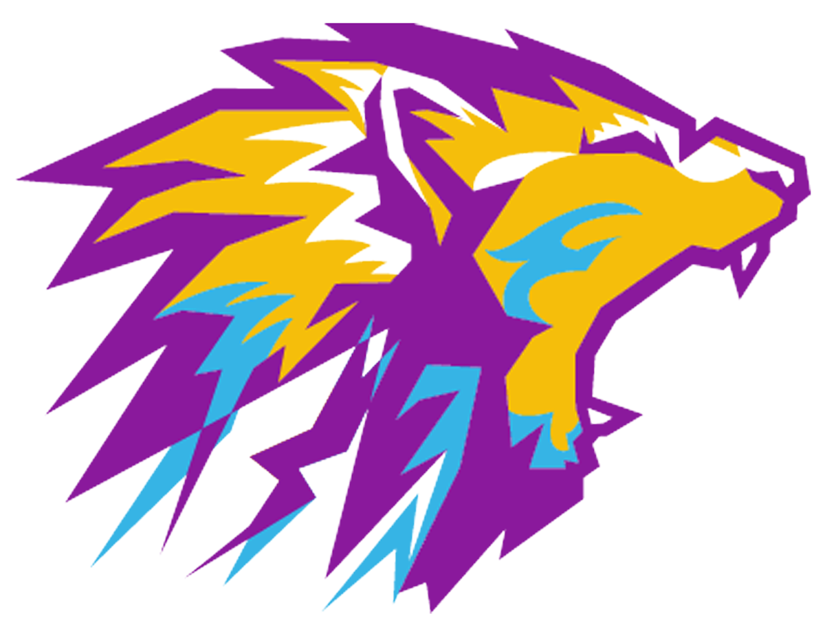 Transparency Documentation Mid Michigan Leadership Academy Transparency Documentation Mid Michigan Leadership Academy