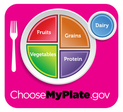 Choose My Plate
